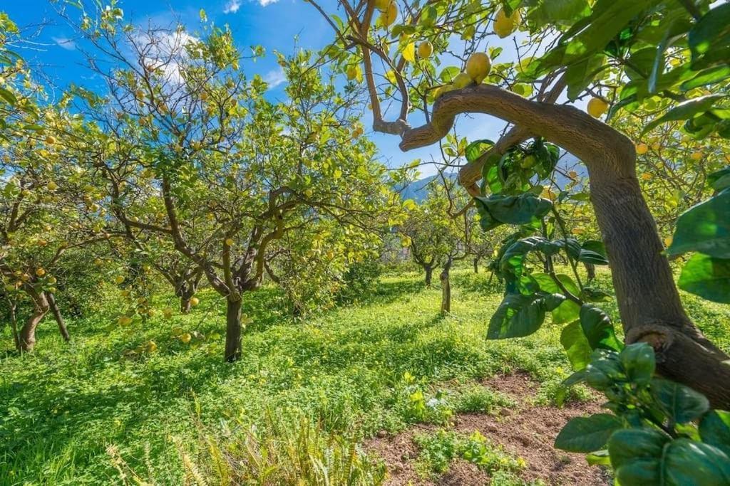 Villa Frontera Sóller Exteriör bild